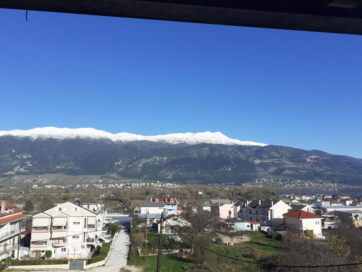 The View Attic Apartamento Ioannina Exterior foto